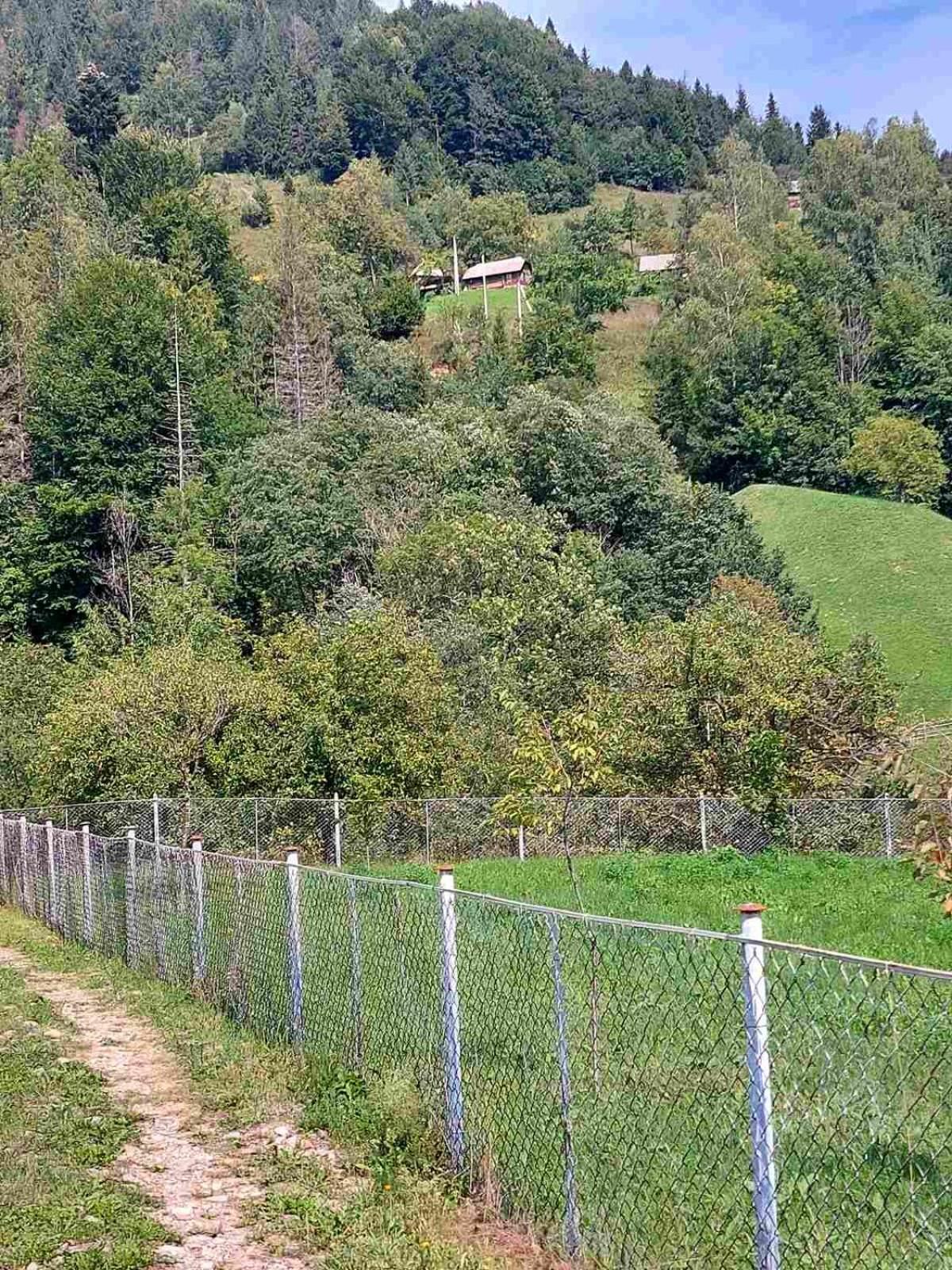 Садиба У Курила З Сауною Та Чаном На Дровах Shepot Exterior foto